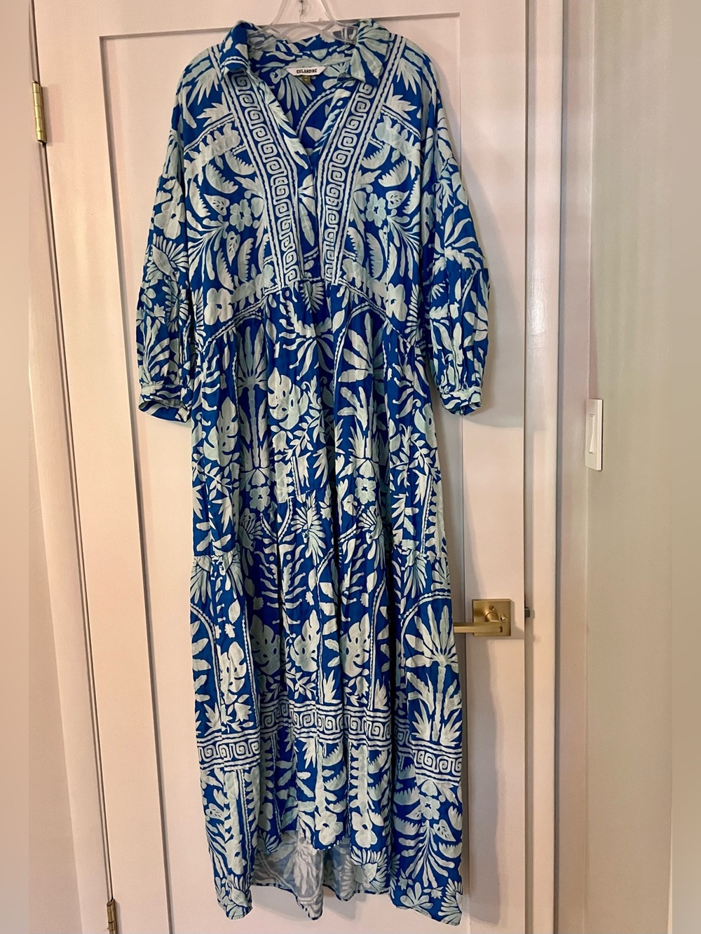 Anthropologie Blue and White Floral Maxi Dress